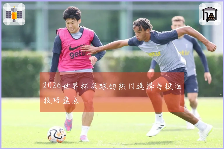 2026世界杯买球的热门选择与投注技巧盘点