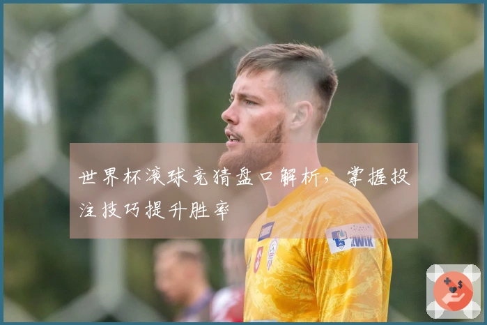 世界杯滚球竞猜盘口解析，掌握投注技巧提升胜率