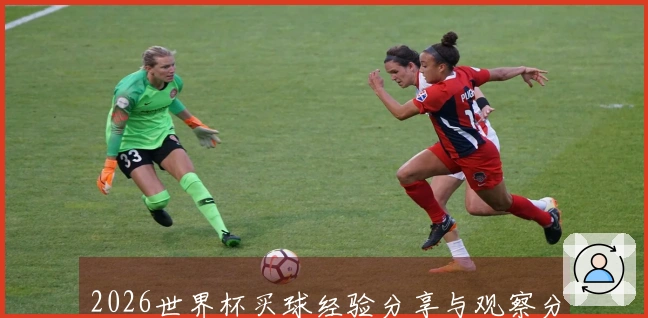 2026世界杯买球经验分享与观察分析