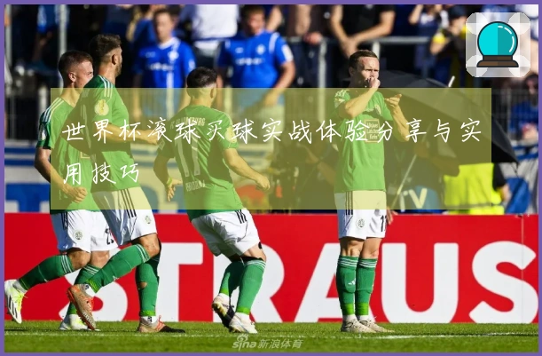 世界杯滚球买球实战体验分享与实用技巧